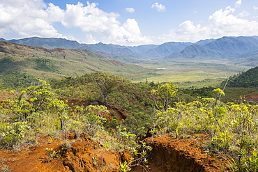 View over the Blue River Provincial Park, Yate, New Caledonia, Pacific