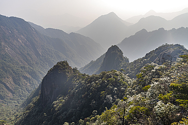 Hazy Taoist Sanqing Mountain, UNESCO World Heritage Site, Jiangxi, China, Asia