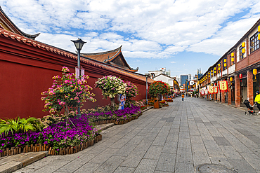 Colourful trees in the historic center of Zhangzhou, Fujian, China, Asia