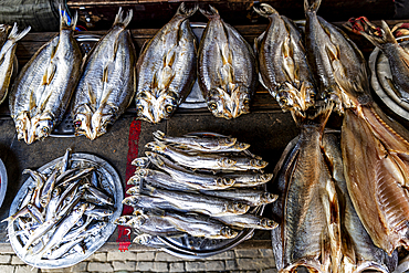 Fish for sale, Zhouzhuang water town, Jiangsu, China, Asia