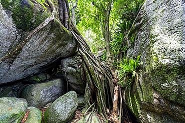 Giant granite rocks on Pulau Kelayang, Belitung island off the coast of Sumatra, Indonesia, Southeast Asia, Asia