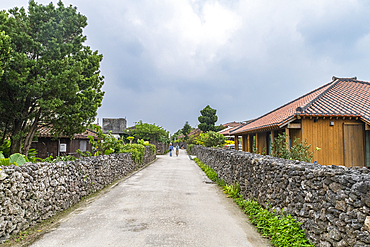 Old stone walls, Taketomi Island National Park, Ishigaki, Yaeyama island group, Japan, Asia