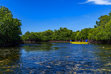 People in a liitle boat in the swamps of Grande Santa Cruz Island, Zamboanga, Mindanao, Philippines, Southeast Asia, Asia