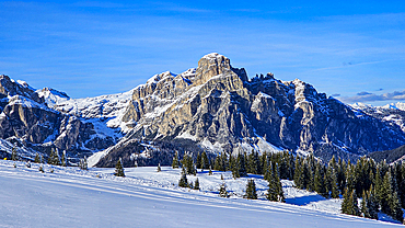 Snowy winter landscape with trees and peaks, Dolomites, Italy, Europe