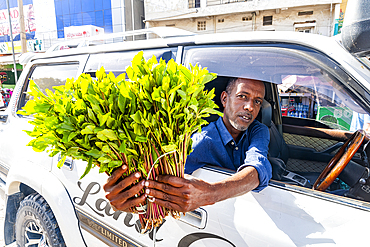 Man selling Khat (Qat), a local drug, Hargeisa, Somaliland, Somalia, Africa