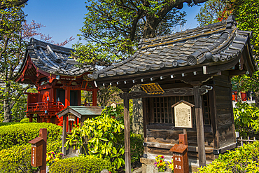 Little shrine in the Senso-ji temple, Asakusa, Tokyo, Honshu, Japan, Asia