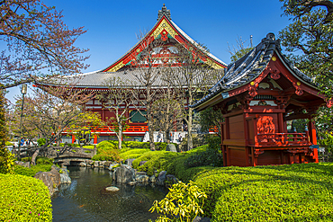 Little shrine in the Senso-ji temple, Asakusa, Tokyo, Honshu, Japan, Asia