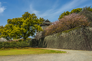 Kumamoto Japanese Castle, Kumamoto, Kyushu, Japan, Asia