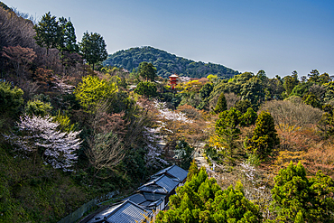 Kiyomizu-dera Buddhist temple, UNESCO World Heritage Site, Kyoto, Honshu, Japan, Asia