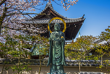 Statue in the cherry blossom in the Maruyama-Koen Park, Kyoto, Honshu, Japan, Asia