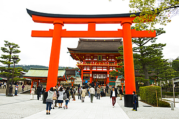 Red entrance gate at the Endless Red Gates of Kyoto's Fushimi Inari, Kyoto, Honshu, Japan, Asia