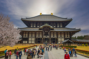 Todaiji Temple, UNESCO World Heritage Site, Nara, Kansai, Honshu, Japan, Asia