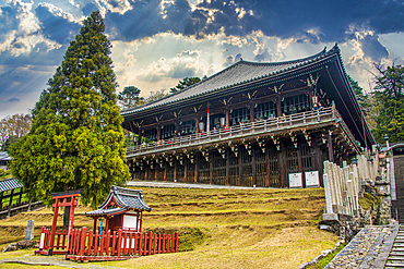 UNESCO World Heritage Site, Nara, Kansai, Honshu, Japan, Asia