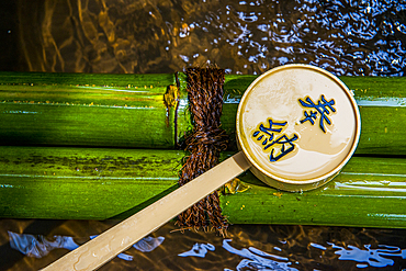 Water dipper, UNESCO World Heritage Site, Nara, Kansai, Honshu, Japan, Asia