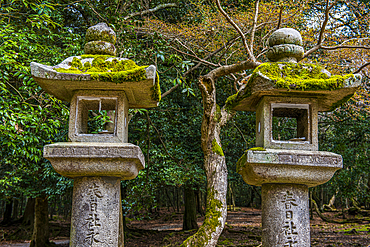 Stone lanterns, UNESCO World Heritage Site, Nara, Kansai, Honshu, Japan, Asia