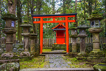 Red arch and stone lanterns, UNESCO World Heritage Site, Nara, Kansai, Honshu, Japan, Asia