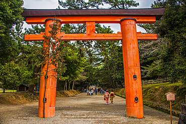 Red arch, UNESCO World Heritage Site, Nara, Kansai, Honshu, Japan, Asia