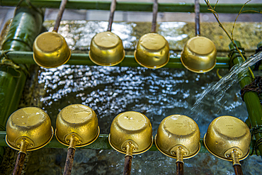 Water dipper, Futarasan Shrine, UNESCO World Heritage Site, Nikko, Tochigi Prefecture, Kanto, Honshu, Japan, Asia