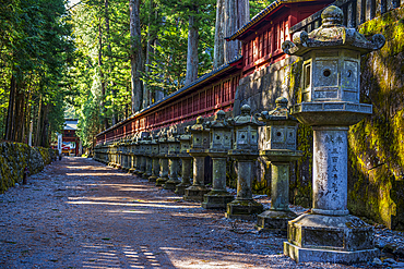 Stone lanterns in the Futarasan Shrine, UNESCO World Heritage Site, Nikko, Tochigi Prefecture, Kanto, Honshu, Japan, Asia