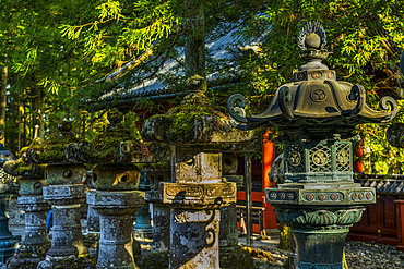 Overgrown stone lamps, Toshogu Shrine, UNESCO World Heritage Site, Nikko, Tochigi Prefecture, Kanto, Honshu, Japan, Asia