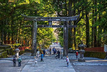 Entrance gate to the Toshogu Shrine, UNESCO World Heritage Site, Nikko, Tochigi Prefecture, Kanto, Honshu, Japan, Asia