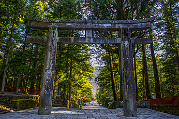 Entrance gate to the Toshogu Shrine, UNESCO World Heritage Site, Nikko, Tochigi Prefecture, Kanto, Honshu, Japan, Asia