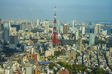 View over Tokyo with the Tokyo Tower, from the Mori Tower, Roppongi Hills, Tokyo, Honshu, Japan, Asia