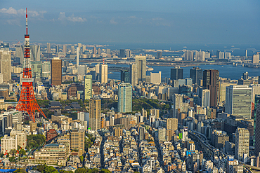 View over Tokyo with the Tokyo Tower, from the Mori Tower, Roppongi Hills, Toykyo, Honshu, Japan, Asia