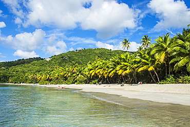 Brewers Bay, Tortola, British Virgin Islands, West Indies, Caribbean, Central America