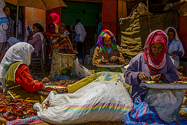 Women preparing chilis at the Medebar market, Asmara, Eritrea, Africa