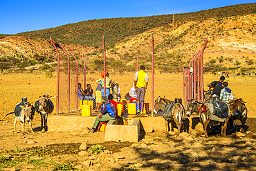 Locals pumping water at a waterhole with donkeys along the road from Asmara to Qohaito, Eritrea, Africa