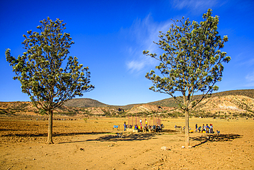 Waterhole along the road from Asmara to Qohaito, Eritrea, Africa