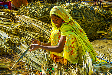 Woman selling her goods on the colourful Monday market of Keren, Eritrea, Africa