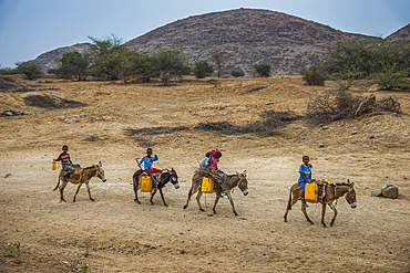 Young kids riding on donkeys to a water hole in the lowland of Eritrea, Africa