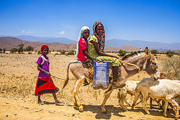 Children riding on a donkey to a waterhole in the lowlands of Eritrea, Africa