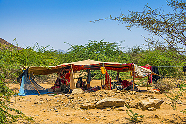 Tent of the Rashaida, an Arabic tribe, in the lowlands of Eritrea, Africa