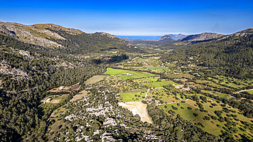 Aerial of the beautiful valley behind Pollenca, Mallorca, Balearic islands, Spain, Mediterranean, Europe