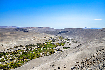 Green canyon in the dry Atacama desert, Chile, South America