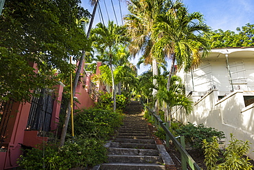 99 steps, little alley in Charlotte Amalie, capital of St. Thomas, US Virgin Islands, West Indies, Caribbean, Central America