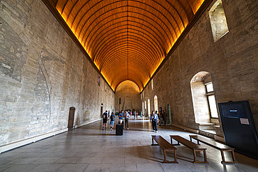 Palace of the Popes, Avignon, UNESCO World Heritage Site, Vaucluse, Provence-Alpes-Cote d'Azur, France, Europe