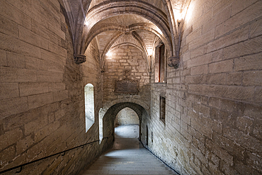 Palace of the Popes, Avignon, UNESCO World Heritage Site, Vaucluse, Provence-Alpes-Cote d'Azur, France, Europe