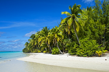 White sand bank in the turquoise waters of the Aitutaki lagoon, Rarotonga and the Cook Islands, South Pacific, Pacific