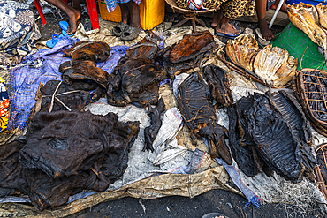 Bush meat market, Mbandaka, Equateur province, Democratic Republic of Congo, Africa