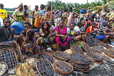 Dry fish for sale on a Market, Mbandaka, Equateur province, Democratic Republic of Congo, Africa