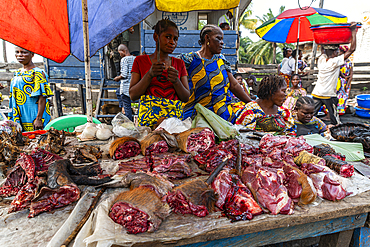 Crocodile meat for sale, Mbandaka, Equateur province, Democratic Republic of Congo, Africa