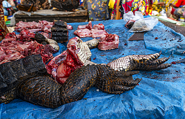 Crocodile meat for sale, Mbandaka, Equateur province, Democratic Republic of Congo, Africa