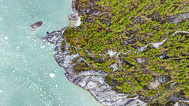 Aerial of the outflow of Pia glacier, Tierra del Fuego, Chile, South America