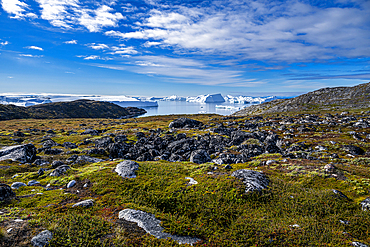 View over the Ilulissat Icefjord, UNESCO World Heritage Site, Western Greenland, Denmark, Polar Regions