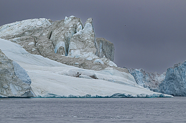 Floating icebergs, Ilulissat Icefjord, UNESCO World Heritage Site, Western Greenland, Denmark, Polar Regions