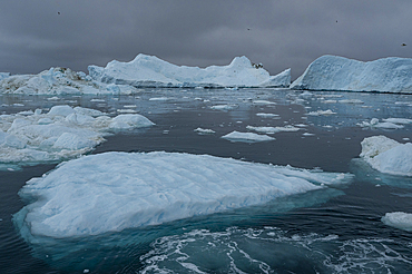 Floating icebergs, Ilulissat Icefjord, UNESCO World Heritage Site, Western Greenland, Denmark, Polar Regions